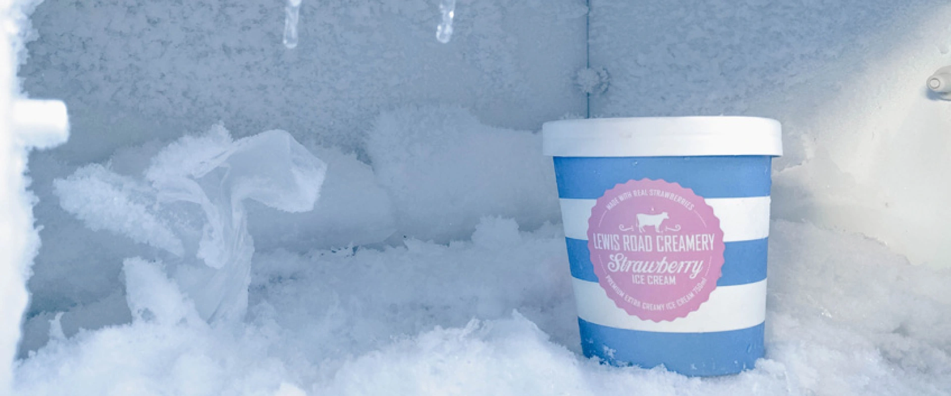 Labeling Solutions for Cold Storage and Freezing Conditions